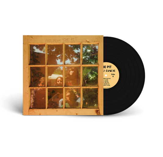 The Pit Vinyl